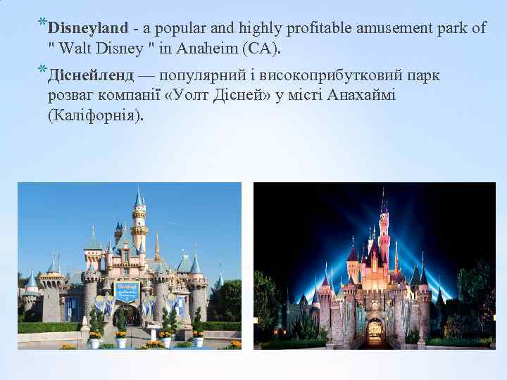 *Disneyland - a popular and highly profitable amusement park of 