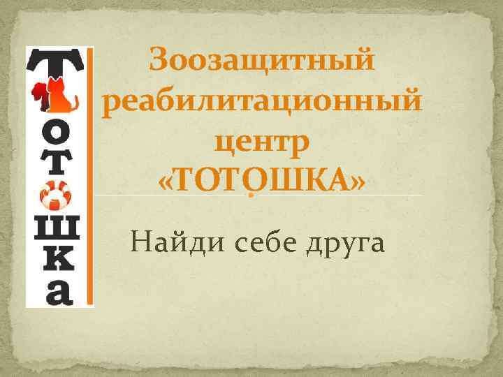 Зоозащитный реабилитационный центр «ТОТОШКА» Найди себе друга 