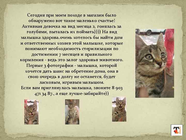 Сегодня при моем походе в магазин было обнаружено вот такое маленько счастье! Активная девочка