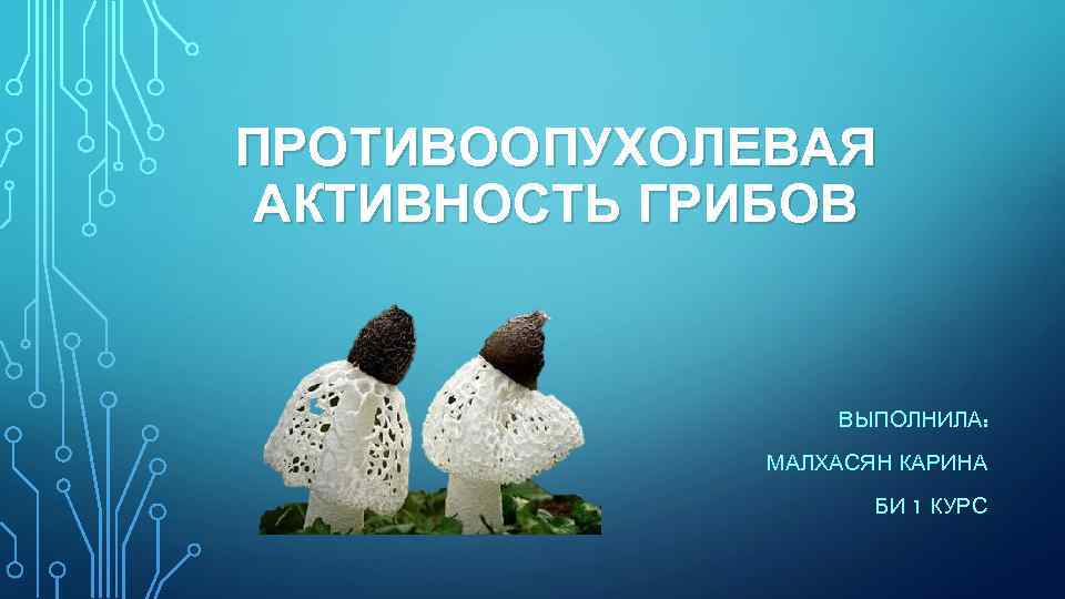 ПРОТИВООПУХОЛЕВАЯ АКТИВНОСТЬ ГРИБОВ ВЫПОЛНИЛА: МАЛХАСЯН КАРИНА БИ 1 КУРС 