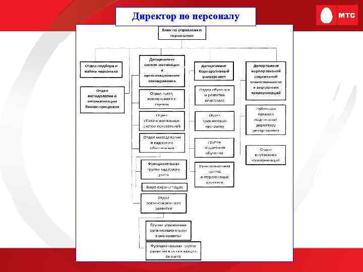 Директор по персоналу 