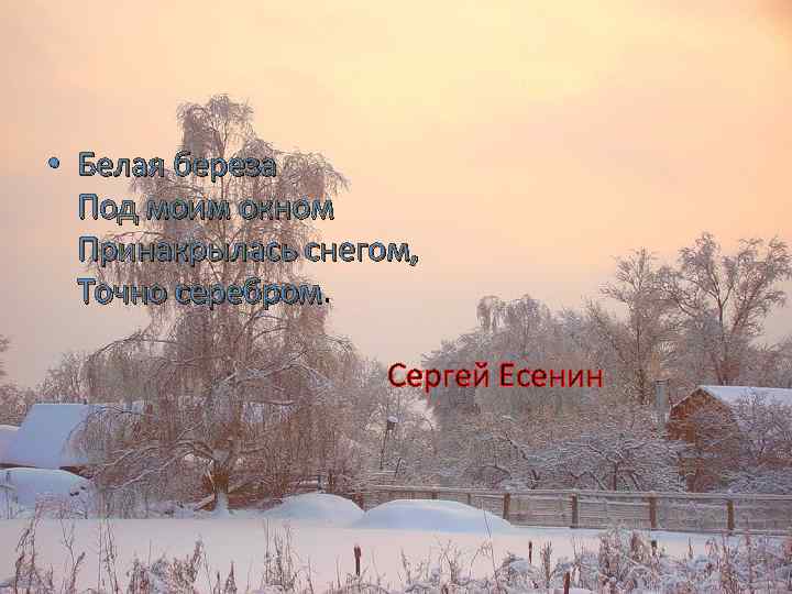  • Белая береза Под моим окном Принакрылась снегом, Точно серебром Сергей Есенин 
