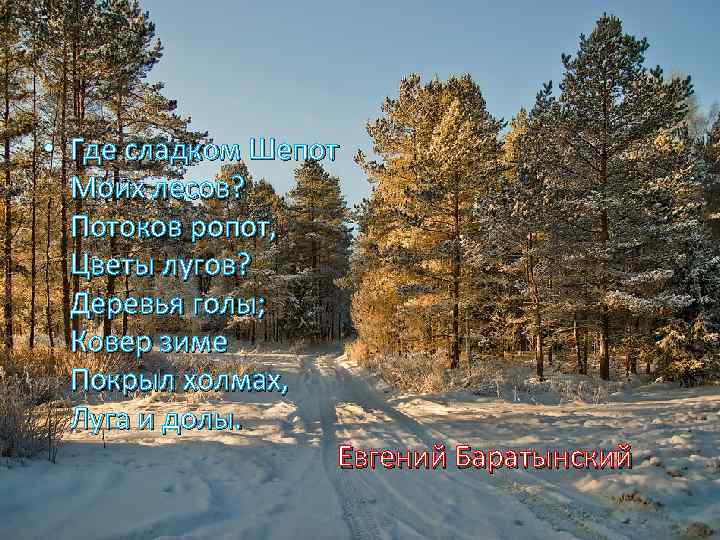  • Где сладком Шепот Моих лесов? Потоков ропот, Цветы лугов? Деревья голы; Ковер