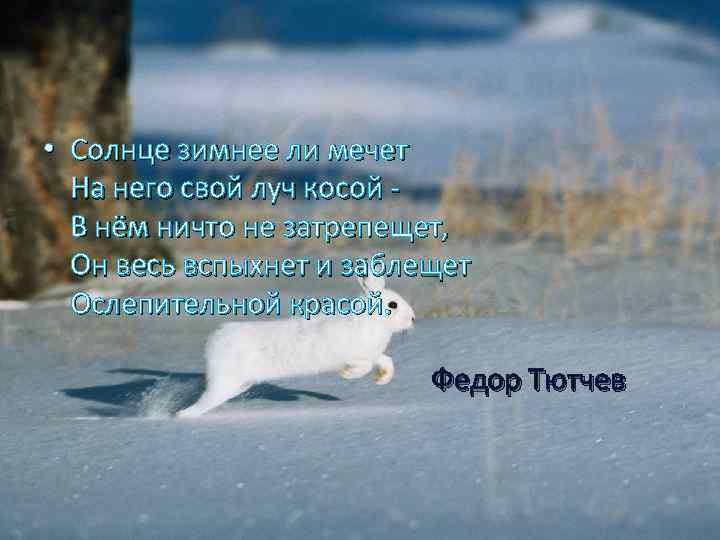  • Солнце зимнее ли мечет На него свой луч косой В нём ничто