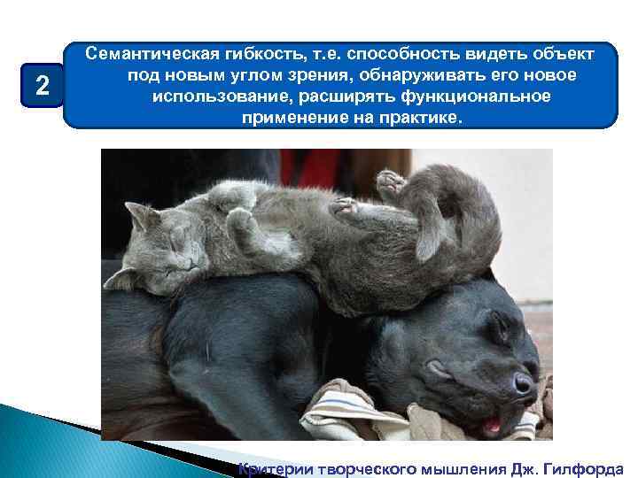 2 Семантическая гибкость, т. е. способность видеть объект под новым углом зрения, обнаруживать его