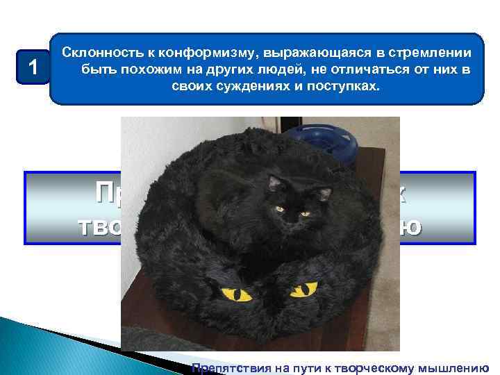 1 Склонность к конформизму, выражающаяся в стремлении быть похожим на других людей, не отличаться