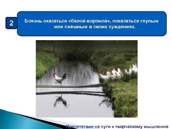 2 Боязнь оказаться «белой вороной» , показаться глупым или смешным в своих суждениях. Препятствия