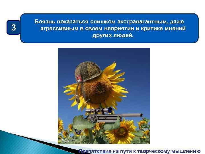 3 Боязнь показаться слишком экстравагантным, даже агрессивным в своем неприятии и критике мнений других