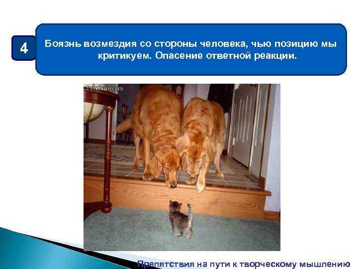 4 Боязнь возмездия со стороны человека, чью позицию мы критикуем. Опасение ответной реакции. Препятствия