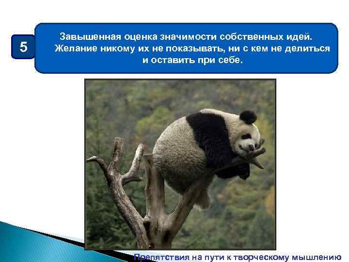 5 Завышенная оценка значимости собственных идей. Желание никому их не показывать, ни с кем