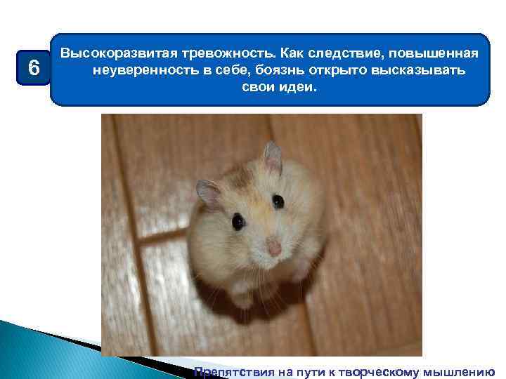 6 Высокоразвитая тревожность. Как следствие, повышенная неуверенность в себе, боязнь открыто высказывать свои идеи.