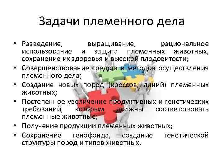 Задачи племенного дела • Разведение, выращивание, рациональное использование и защита племенных животных, сохранение их