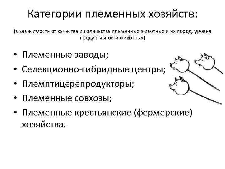 Категории племенных хозяйств: (в зависимости от качества и количества племенных животных и их пород,
