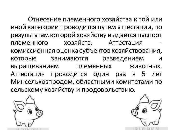 Отнесение племенного хозяйства к той или иной категории проводится путем аттестации, по результатам которой