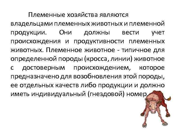 Племенные хозяйства являются владельцами племенных животных и племенной продукции. Они должны вести учет происхождения