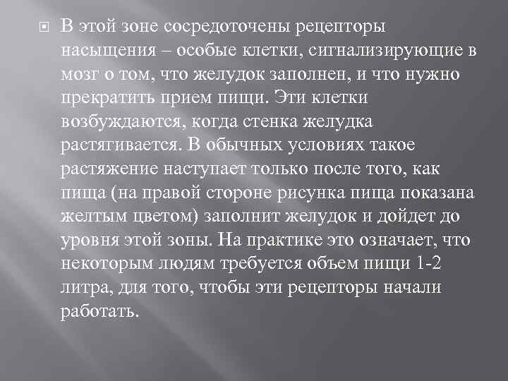  В этой зоне сосредоточены рецепторы насыщения – особые клетки, сигнализирующие в мозг о