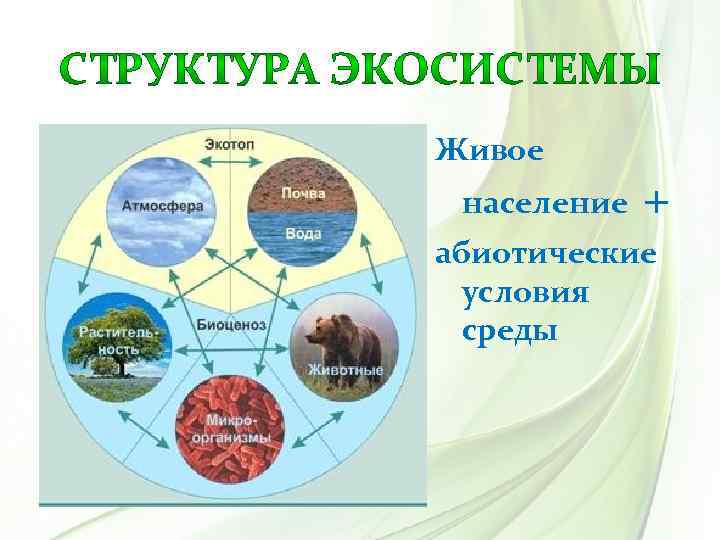 Живое население + абиотические условия среды 