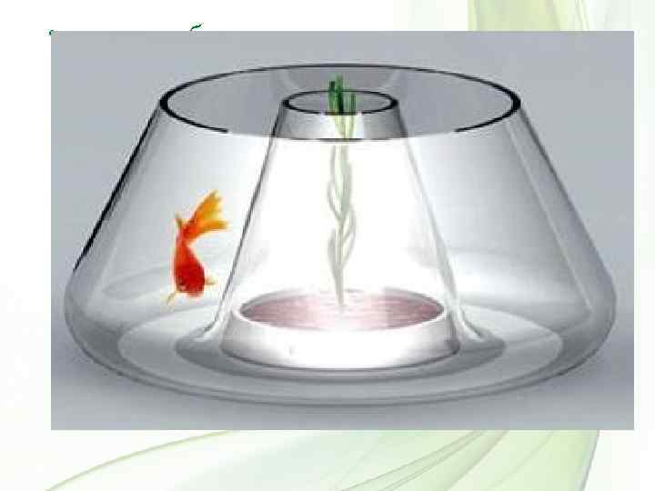  • не всякая биологическая система может назваться экосистемой, например, таковыми не являются аквариум