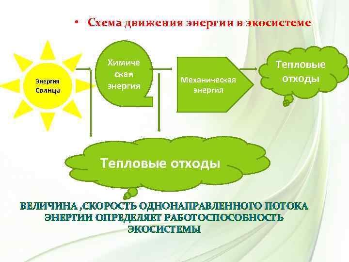  • Схема движения энергии в экосистеме Энергия Солнца Химиче ская энергия Механическая энергия
