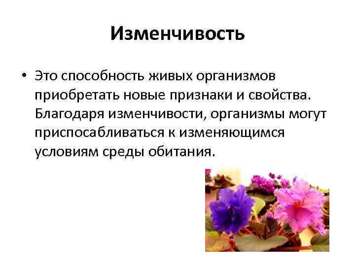Изменчивость • Это способность живых организмов приобретать новые признаки и свойства. Благодаря изменчивости, организмы