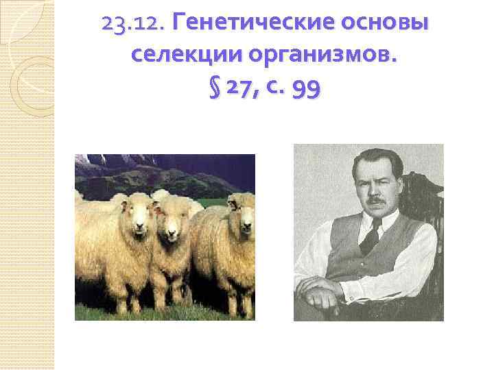 23. 12. Генетические основы селекции организмов. § 27, с. 99 