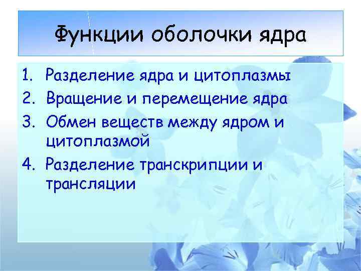 Функции оболочки ядра 1. Разделение ядра и цитоплазмы 2. Вращение и перемещение ядра 3.