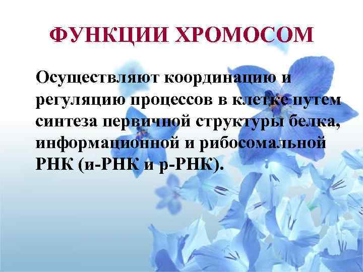 ФУНКЦИИ ХРОМОСОМ Осуществляют координацию и регуляцию процессов в клетке путем синтеза первичной структуры белка,