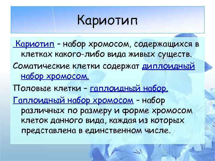 Кариотип – набор хромосом, содержащихся в клетках какого-либо вида живых существ. Соматические клетки содержат