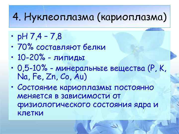 4. Нуклеоплазма (кариоплазма) • • р. Н 7, 4 – 7, 8 70% составляют