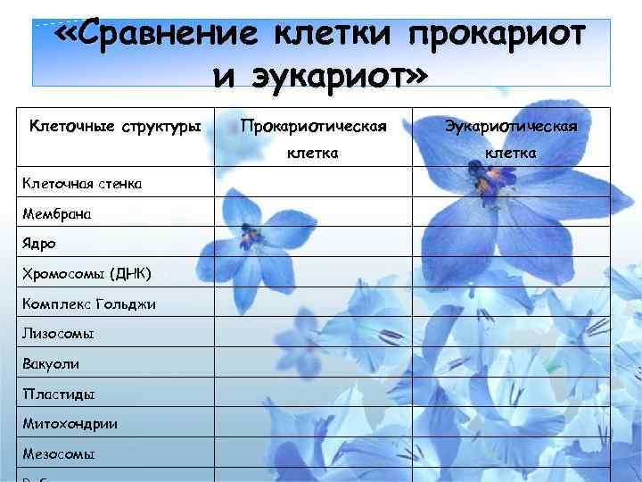  «Сравнение клетки прокариот и эукариот» Клеточные структуры Мембрана Ядро Хромосомы (ДНК) Комплекс Гольджи