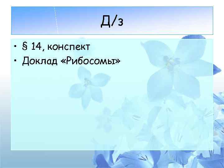 Д/з • § 14, конспект • Доклад «Рибосомы» 