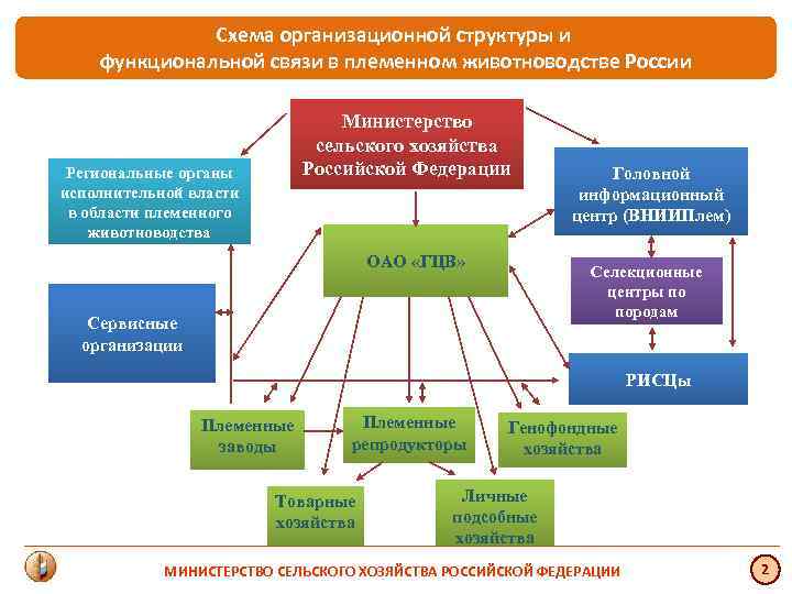 Схема организационной структуры и функциональной связи в племенном животноводстве России Министерство сельского хозяйства Российской