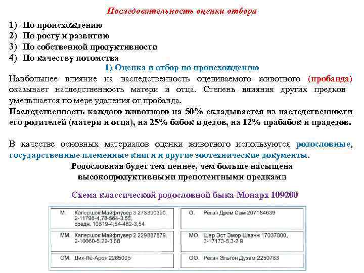 Последовательность оценки отбора 1) 2) 3) 4) По происхождению По росту и развитию По