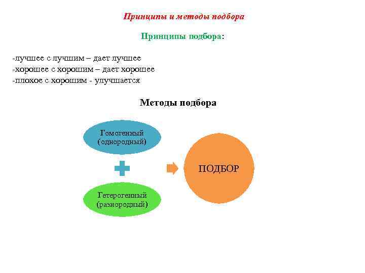 Принципы и методы подбора Принципы подбора: -лучшее с лучшим – дает лучшее -хорошее с