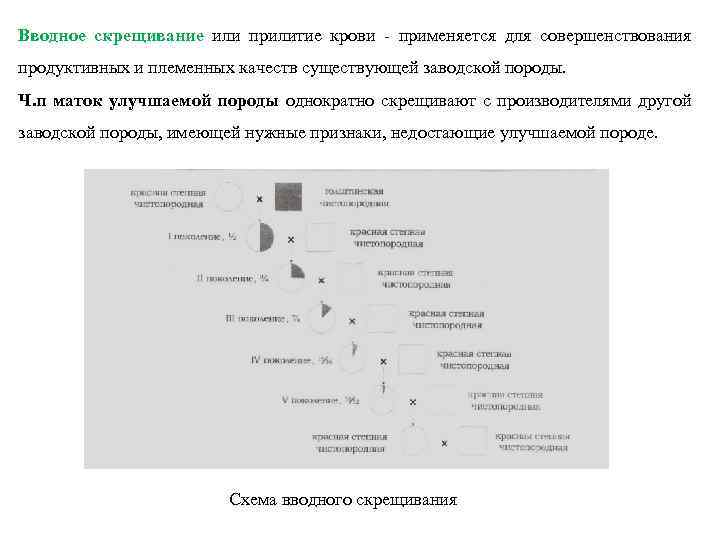 Вводное скрещивание или прилитие крови - применяется для совершенствования продуктивных и племенных качеств существующей