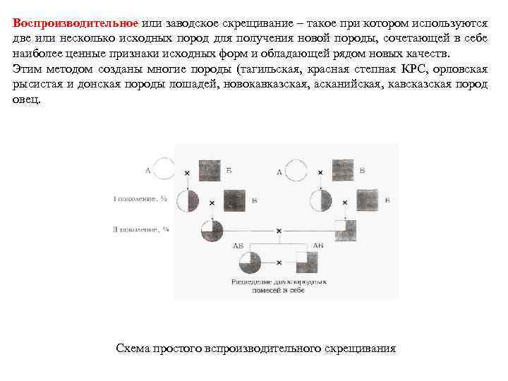 Воспроизводительное или заводское скрещивание – такое при котором используются две или несколько исходных пород