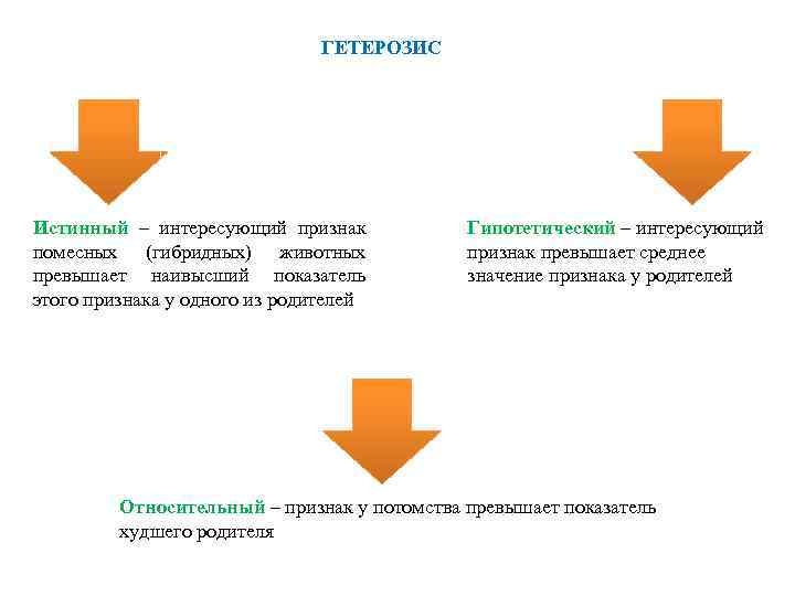 ГЕТЕРОЗИС Истинный – интересующий признак помесных (гибридных) животных превышает наивысший показатель этого признака у