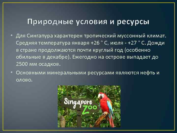 Природные условия и ресурсы • Для Сингапура характерен тропический муссонный климат. Средняя температура января
