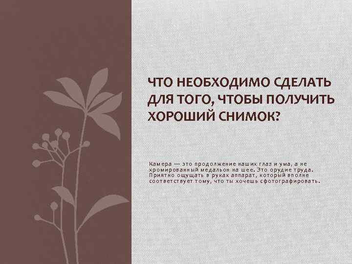 ЧТО НЕОБХОДИМО СДЕЛАТЬ ДЛЯ ТОГО, ЧТОБЫ ПОЛУЧИТЬ ХОРОШИЙ СНИМОК? Камера — это продолжение наших