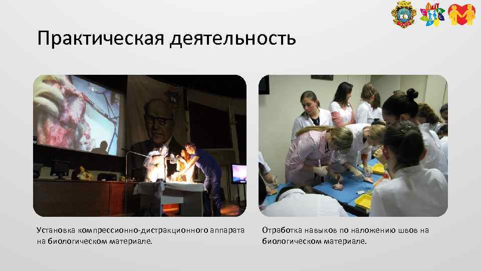 Практическая деятельность Установка компрессионно-дистракционного аппарата на биологическом материале. Отработка навыков по наложению швов на