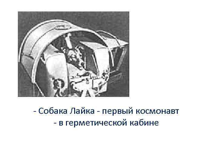 - Собака Лайка - первый космонавт - в герметической кабине 