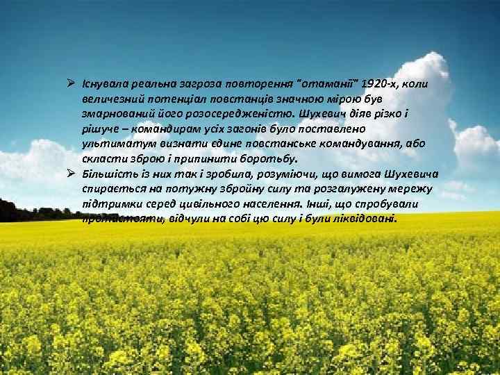 Ø Існувала реальна загроза повторення "отаманії" 1920 -х, коли величезний потенціал повстанців значною мірою