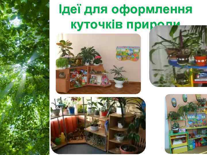 Ідеї для оформлення куточків природи Free Powerpoint Templates Page 15 