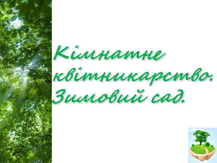 Кімнатне квітникарство. Зимовий сад. Free Powerpoint Templates Page 2 