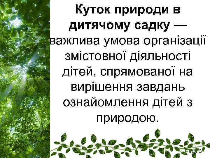 Куток природи в дитячому садку — важлива умова організації змістовної діяльності дітей, спрямованої на