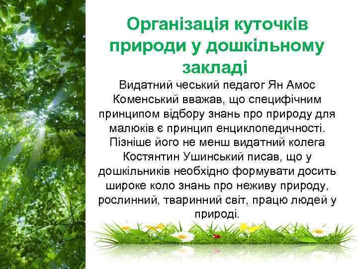 Організація куточків природи у дошкільному закладі Видатний чеський педагог Ян Амос Коменський вважав, що