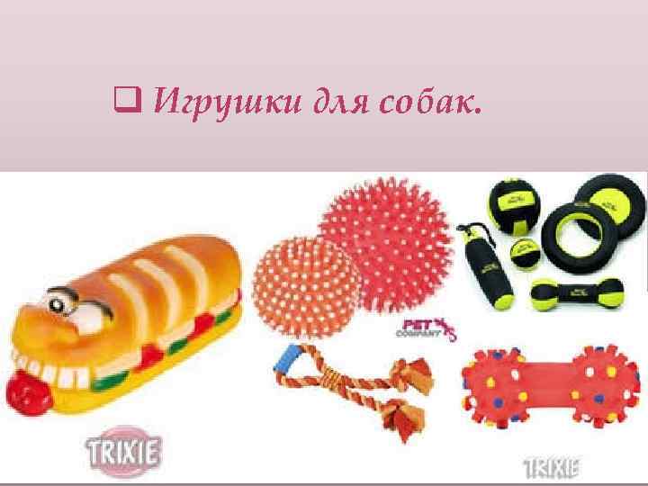 q Игрушки для собак. 