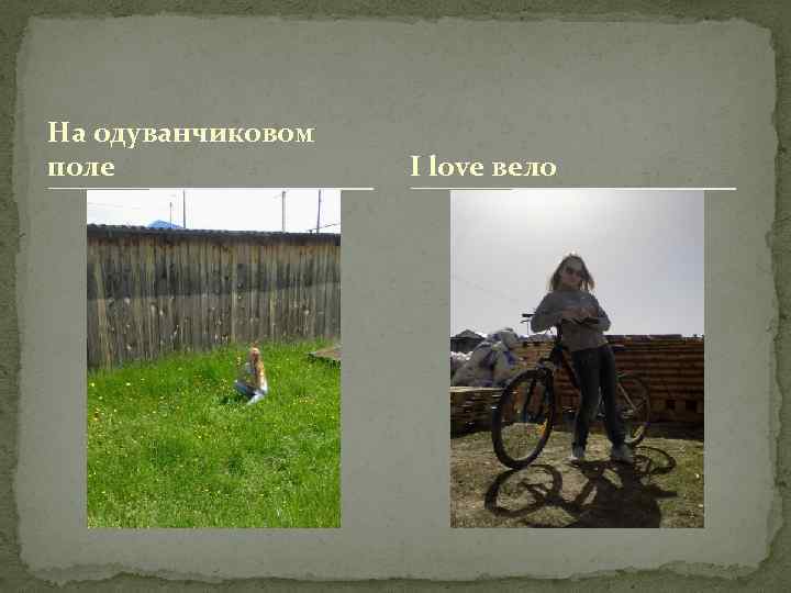 На одуванчиковом поле I love вело 