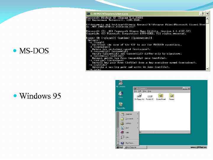  MS-DOS Windows 95 