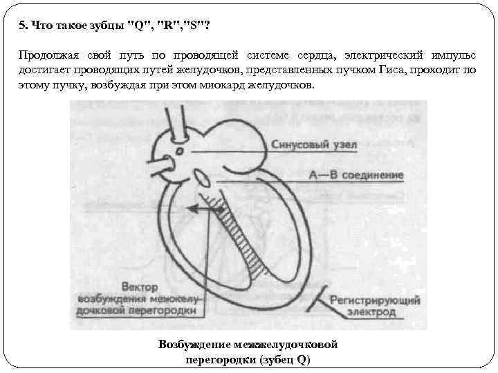 5. Что такое зубцы 